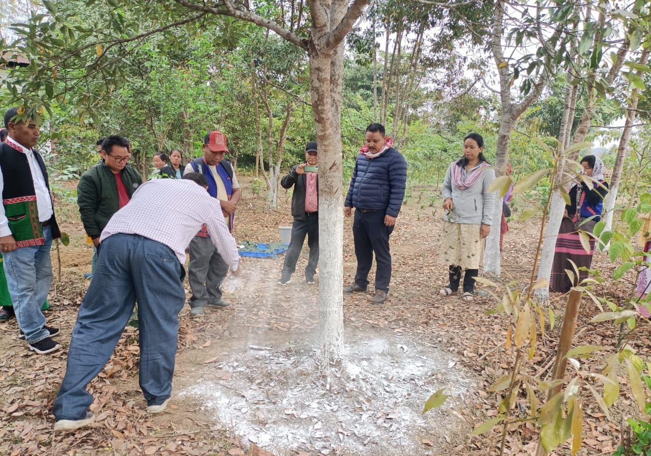 Field demonstration